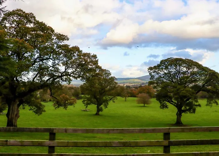 Ballybeg Pod 3 Ferienhaus