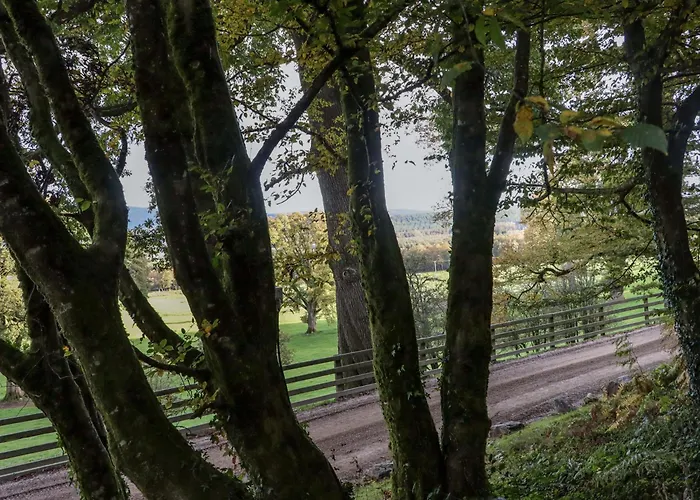 Ballybeg Pod 3 Ferienhaus